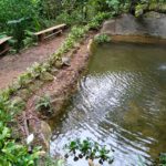 IMG_20220812_143132